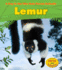 Lemur (a Day in the Life: Rain Forest Animals)