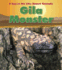 Gila Monster (a Day in the Life: Desert Animals)