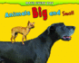 Animals Big and Small (Math Every Day)