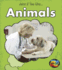 Animals (Jobs If You Like...)