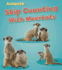 Skip Counting With Meerkats (Animal Math)