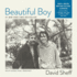 Beautiful Boy: a Father's Journey Through His Son's Meth Addiction, Library Edition