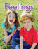 Feelings Lap Book (Literacy, Language, & Learning) (Early Literacy)