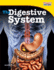 The Digestive System: Informational Text (Time for Kids(R) Nonfiction Readers)