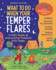 What to Do When Your Temper Flares, 2nd Edition Format: Paperback