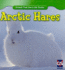 Arctic Hares (Animals That Live in the Tundra)