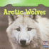 Arctic Wolves