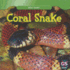 Coral Snake