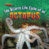 The Bizarre Life Cycle of an Octopus (Strange Life Cycles (Gareth Stevens))