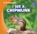I See a Chipmunk (in My Backyard: Gareth Stevens Early Readers)