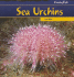 Sea Urchins (Freaky Fish)