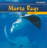 Manta Rays (Freaky Fish)