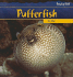 Pufferfish (Freaky Fish)