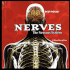 Nerves: The Nervous System