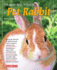 Training Your Pet Rabbit (Training Your Pet Series)