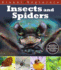 Insects and Spiders (Visual Explorers)