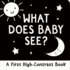 What Does Baby See? a High-Contrast Board Book