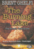 The Burning Lake ('Volk' Series, Book 4)