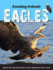 Amazing Animals: Eagles
