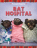 Bat Hospital (Animal Rescue)