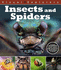 Insects and Spiders (Visual Explorers)