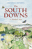 Thesouth Downs a Painted Year By Dundas, Antonia ( Author ) on Apr-01-2011, Hardback