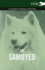 The Samoyed-a Complete Anthology of the Dog