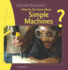 What Do You Know About Simple Machines? (20 Questions: Physical Science)