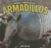 Armadillos (Animals Underground)