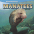 Manatees (Marine Mammals)