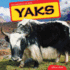 Yaks (the Animals of Asia)