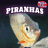 Piranhas (Monsters of the Animal Kingdom)