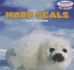 Harp Seals (Powerkids Readers: Sea Friends)