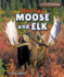 Hunting Moose and Elk (Let's Go Hunting)