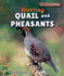 Hunting Quail and Pheasants (Let's Go Hunting)