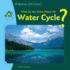 What Do You Know About the Water Cycle? (20 Questions: Earth Science)