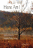 Here Am I: Reflections to Inspire Daily Living