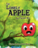 The Lonely Apple