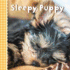 Sleepy Puppy (Sterling Childrens)