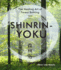 Shinrin-Yoku: the Healing Art of Forest Bathing (Japanese Wellness)