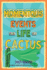 Momentous Events in the Life of a Cactus Format: Paperback