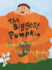 Biggest Pumpkin, the