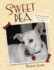 Sweet Pea the Homeless Dog Who Could Not Be Caught