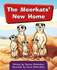 The Meerkats New Home