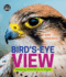 Bird's-Eye View: Keeping Wild Birds in Flight (Orca Wild)