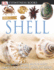 Eyewitness: Shell