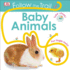 Follow the Trail: Baby Animals