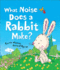 What Noise Does a Rabbit Make?