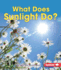 What Does Sunlight Do?