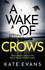 A Wake of Crows (Dc Donna Morris)